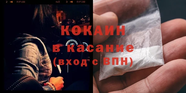 шишки Абаза