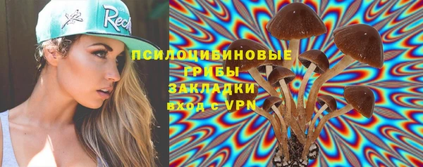 дживик Алзамай