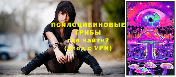 дживик Алзамай