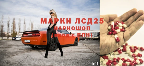 шишки Абаза
