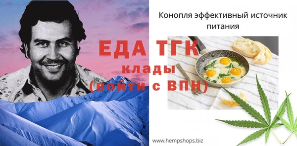 гашик Ладушкин