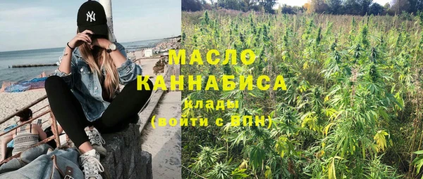 индика Лабытнанги